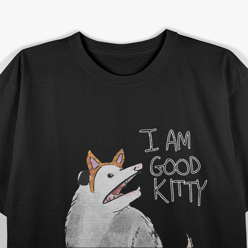 Opossum I Am Good Kitty Vintage T-Shirt