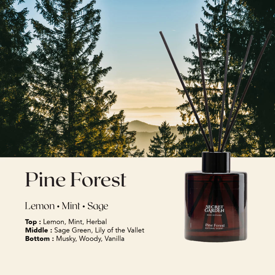 Secret Garden Pine Forest Reed Diffuser 140ml – Aromatherapy Home Fragrance Diffuser
