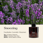 Secret Garden Snoozing Reed Diffuser 140ml – Aromatherapy Home Fragrance Diffuser