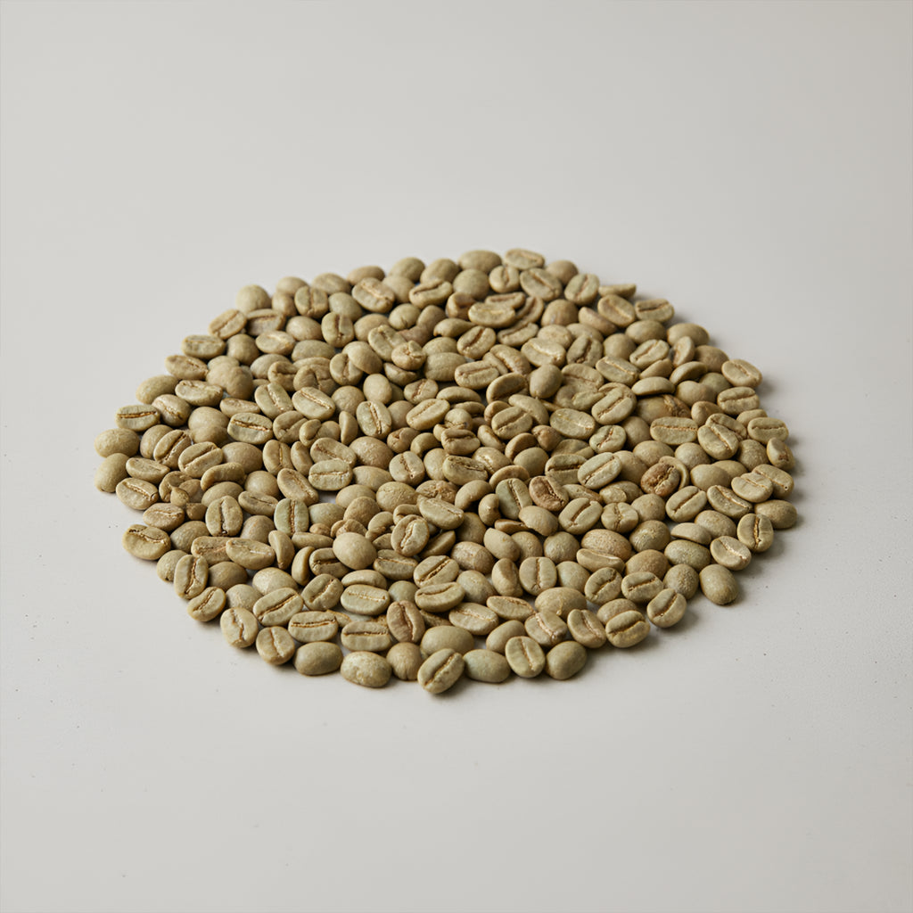Robusta Green Coffee Beans 1kg – Raw Unroasted Java Coffee Beans