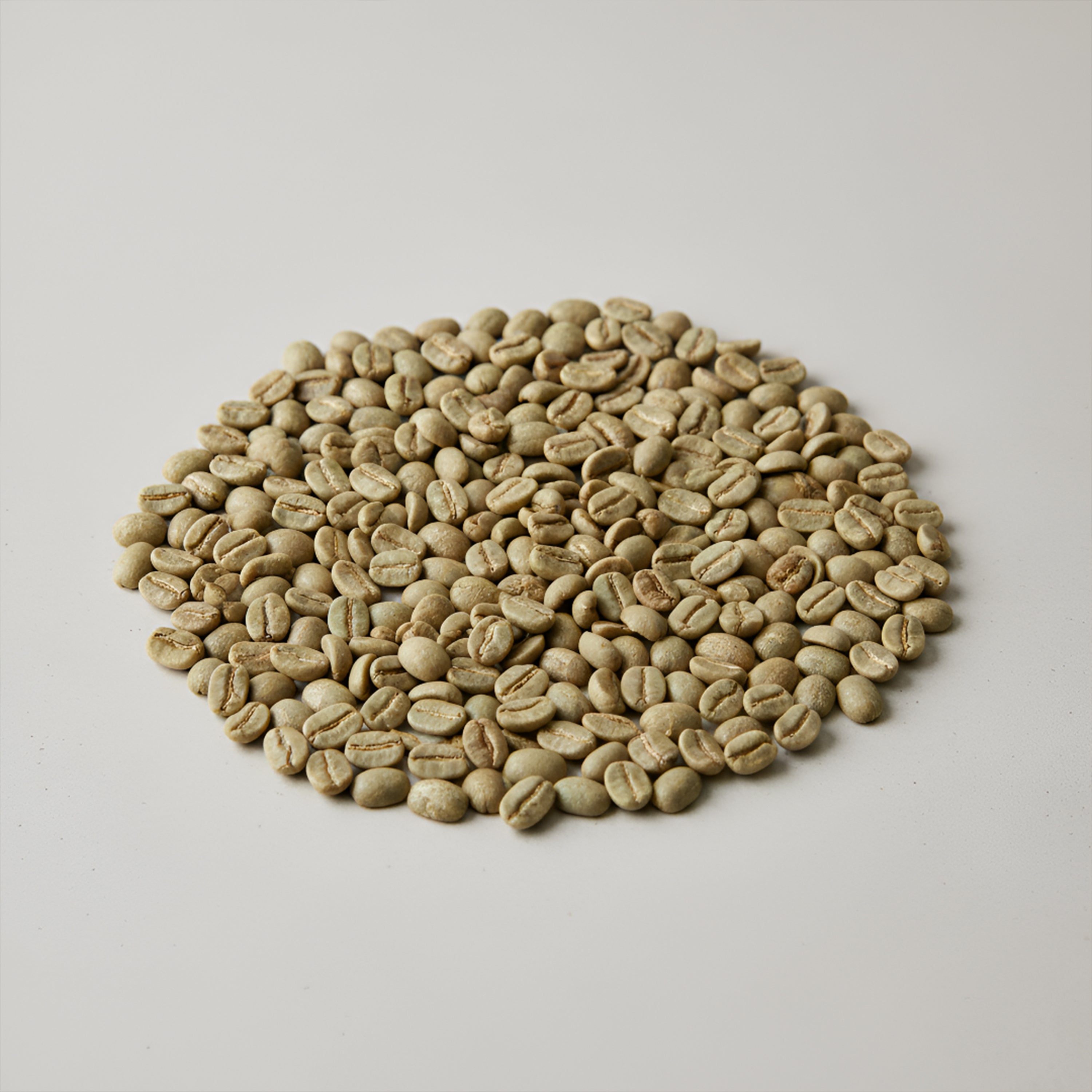 Robusta Green Coffee Beans 1kg – Raw Unroasted Java Coffee Beans