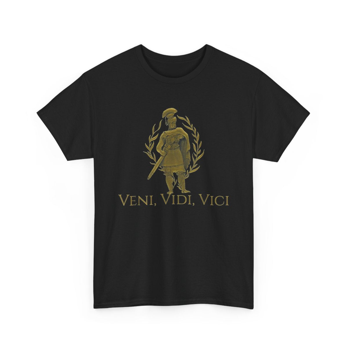 Veni, Vidi, Vici – Julius Caesar Roman General Latin Quote Graphic T-Shirt