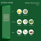 Euodia Home Green Tea Accord Fragrance Diffuser 100ml – Aromatherapy Reed Diffuser