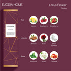 Euodia Home Lotus Flower Fragrance Diffuser 150ml – Aromatherapy Reed Diffuser
