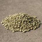 Grade 1 Robusta Coffee Beans – Large Bean WBB Polished Robusta Coffee