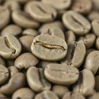 Robusta Green Coffee Beans 1kg – Raw Unroasted Java Coffee Beans