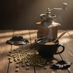 Grade 1 Robusta Coffee Beans – Large Bean WBB Polished Robusta Coffee