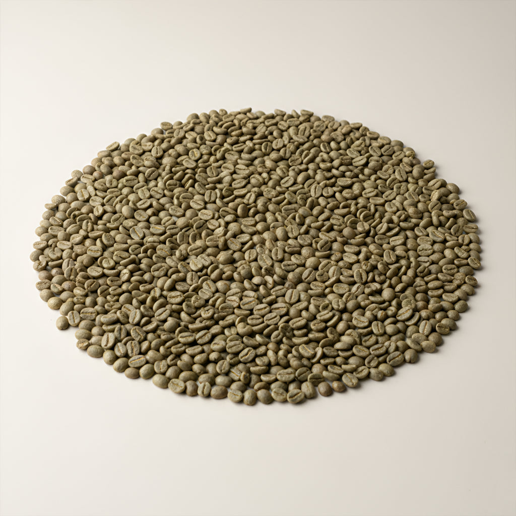 Grade 1 Robusta Green Coffee Beans – OCE Gunung Kawi Bangelan Raw Coffee Beans