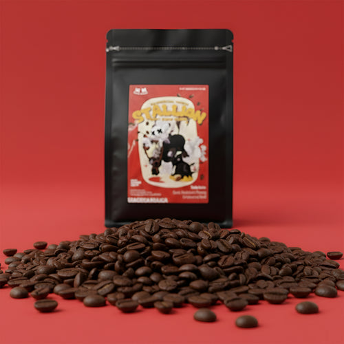 Blackpotion Stallion Blend 100% Arabica Coffee Beans 500g – Espresso Blend for Milk Coffee