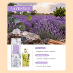 OHSOME Sense More Lavender Reed Diffuser 160ml
