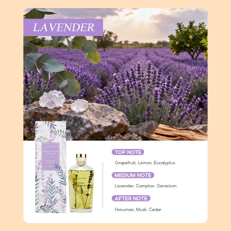 OHSOME Sense More Lavender Reed Diffuser 160ml
