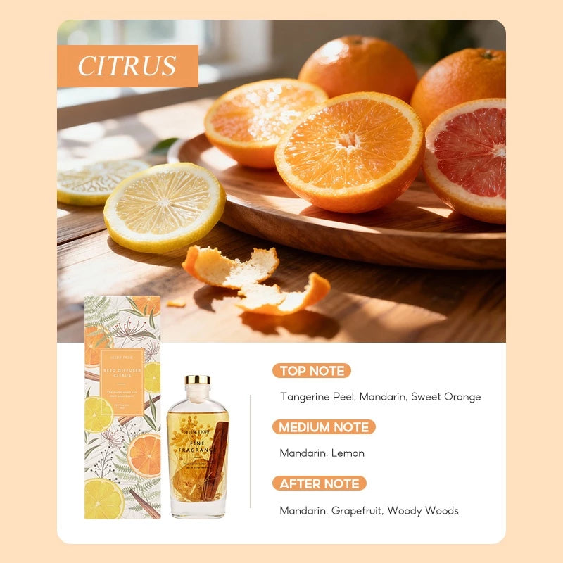 OHSOME Sense More Citrus Reed Diffuser 160ml