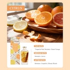 OHSOME Sense More Citrus Reed Diffuser 160ml