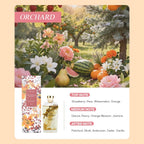 OHSOME Sense More Orchard Reed Diffuser 160ml
