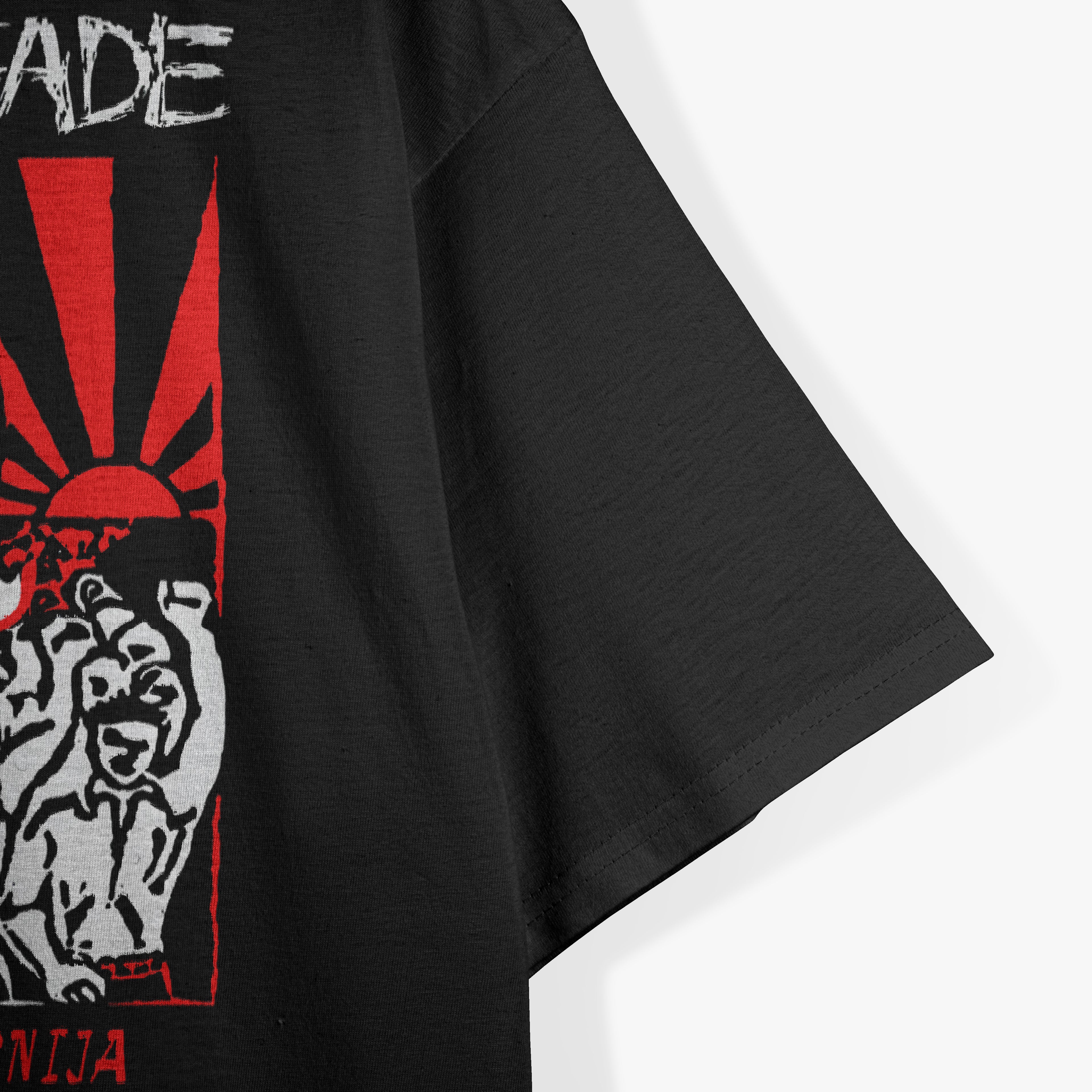 Sink with Kalifornija – Youth Brigade Retro Graphic RZ T-Shirt