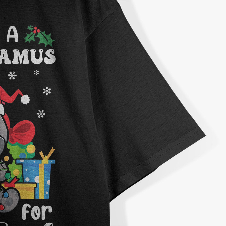 I Want A Hippopotamus For Christmas Hippo T-Shirt