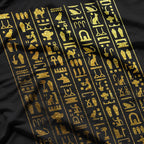 Egyptian Hieroglyphics T-Shirt