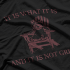 Raccoon Humor It Is What It Is And It’s Not Great Funny T-Shirt