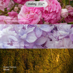 Maiimi Dreamy Vanilla Bath Bomb – Luxurious Fizzing Bath Soak