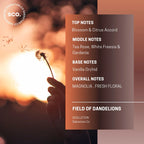 Sabastian.Co SCOLLECTION Field of Dandelions Candle 325g – Handmade Soy Scented Candle