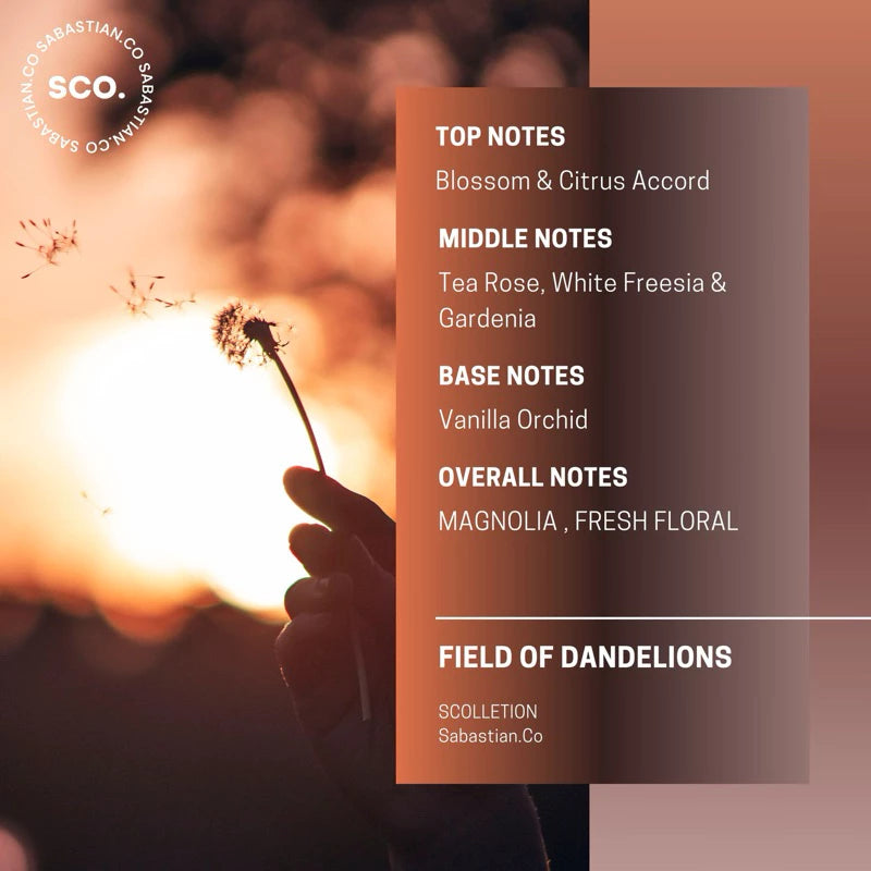 Sabastian.Co SCOLLECTION Field of Dandelions Candle 325g – Handmade Soy Scented Candle