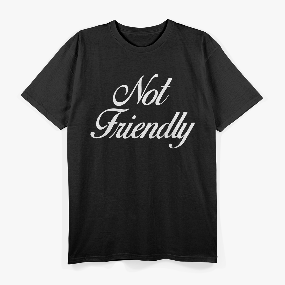 Warning: Not Friendly T-Shirt