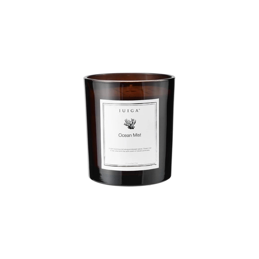 IUIGA Ocean Mist Scented Candle – Luxury Aromatherapy Candle for Home Fragrance