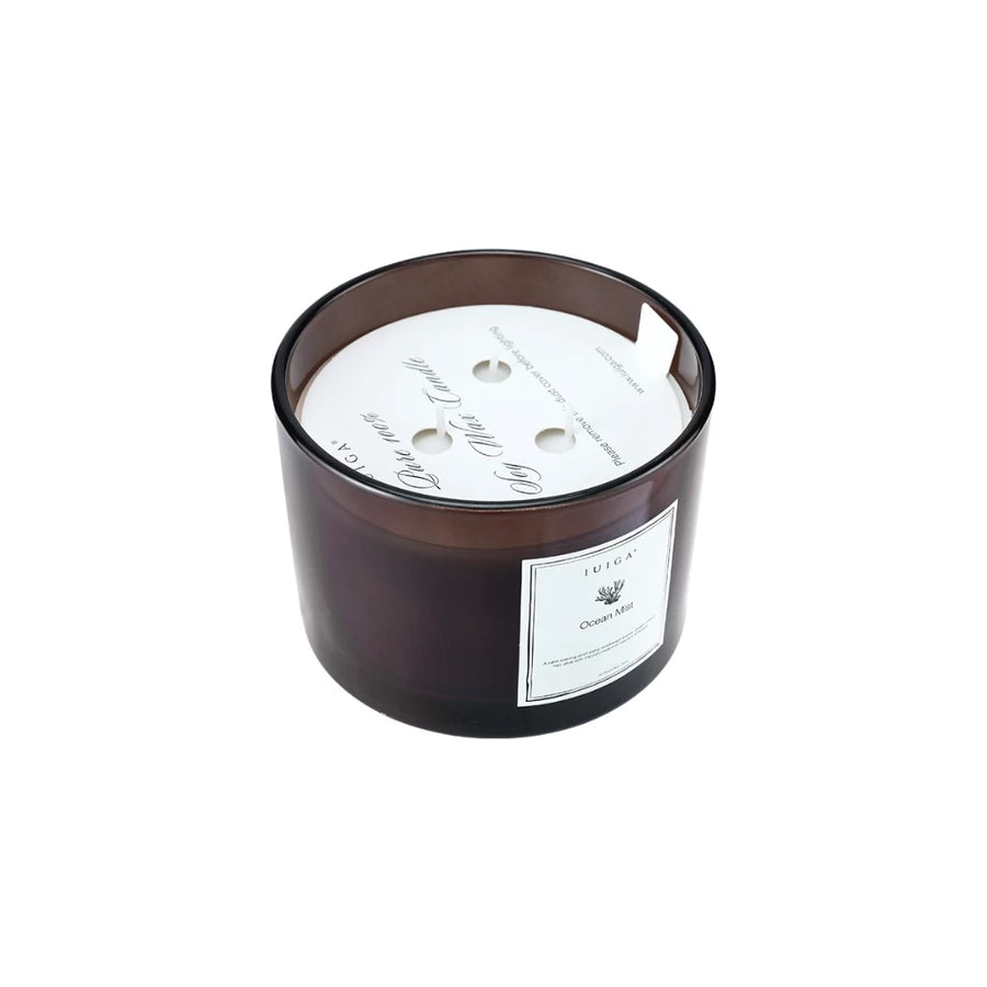 IUIGA Ocean Mist Scented Candle – Luxury Aromatherapy Candle for Home Fragrance