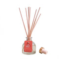 Euodia Home x Havilla Jasmine & Peach Tea Diffuser 50ml – Aromatherapy Reed Diffuser